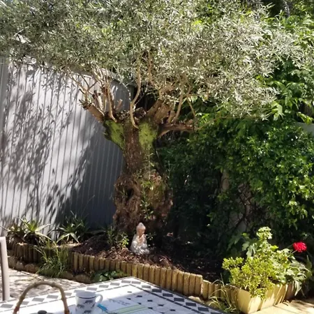 Maison Lumineuse Avec Grande Terrasse En Bois Et Jardin Hébergement de vacances Pérols